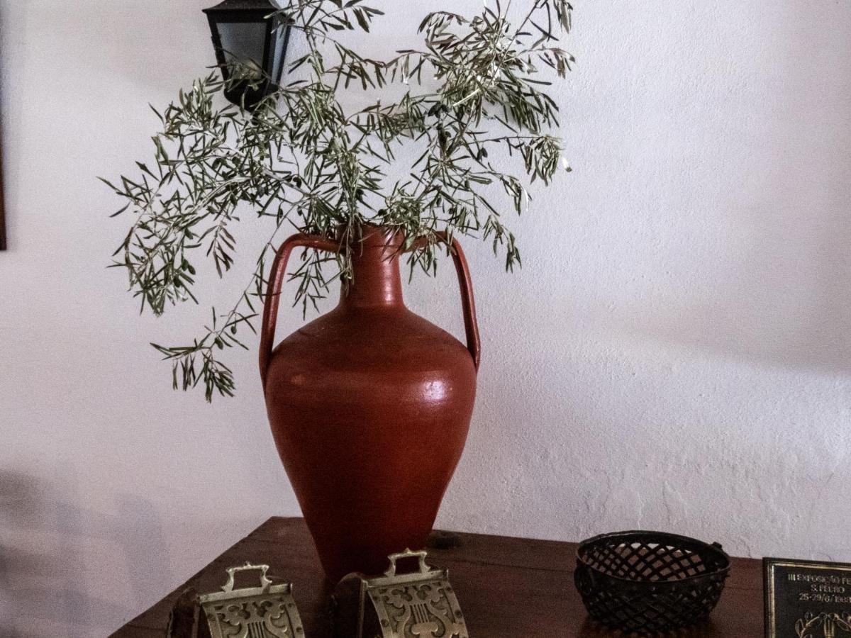 Monte Das Oliveiras Арайолос Екстериор снимка